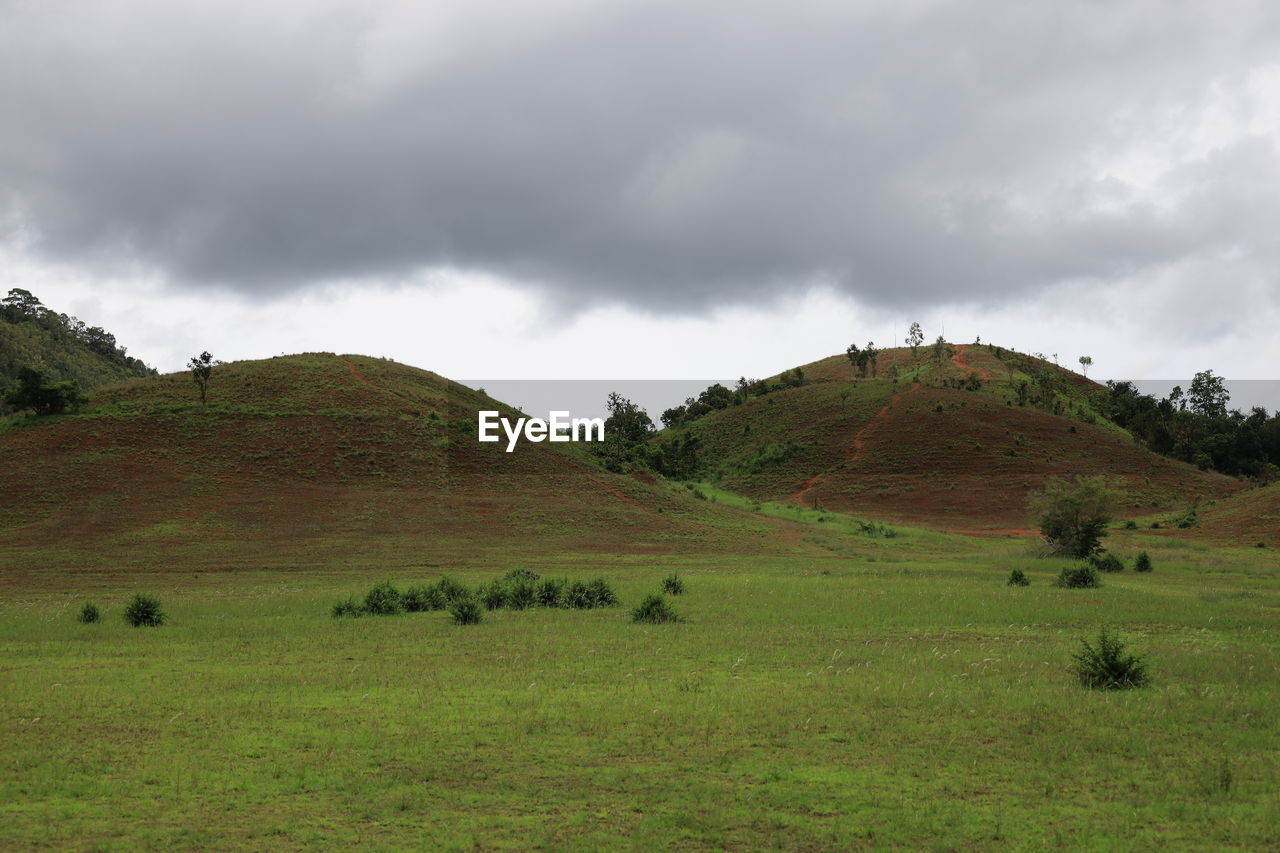 SCENIC VIEW OF LAND AND SKY