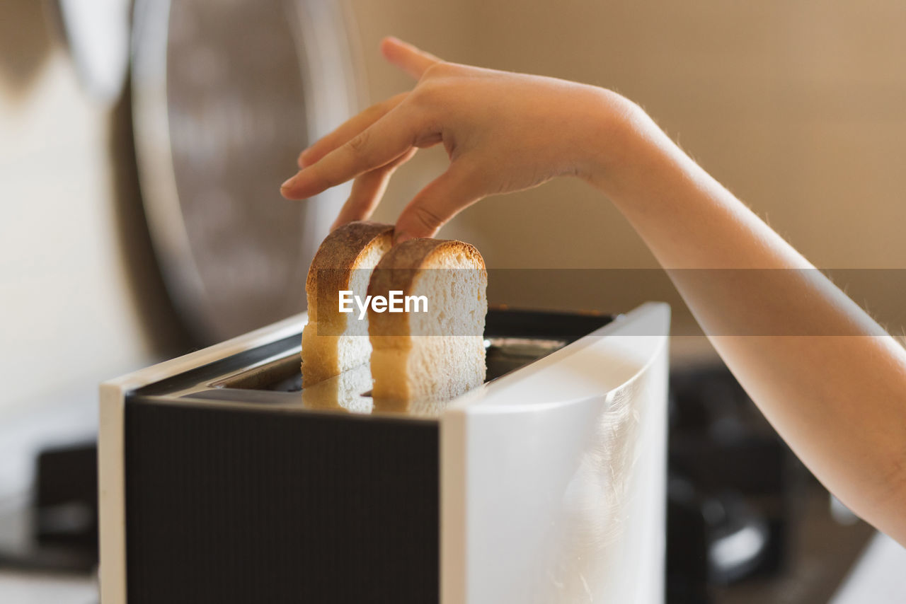 cropped hand of woman holding food