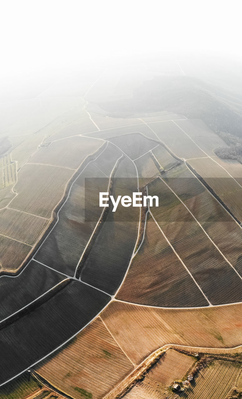 Aerial view of vinery field in villány wine region hungary