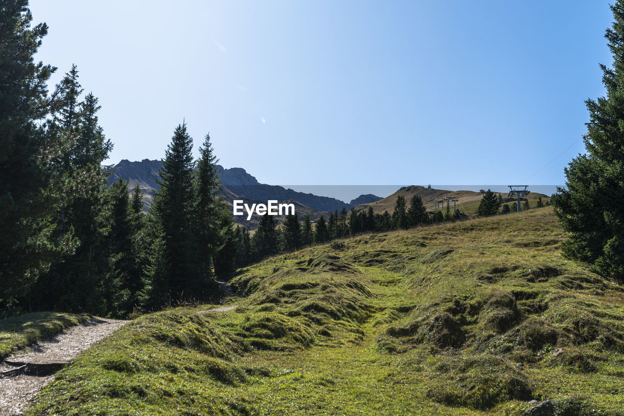 Scenic view of landscape against clear sky