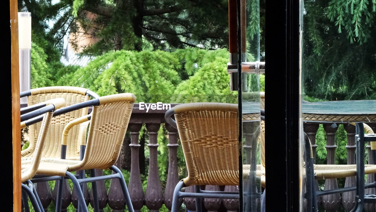 CHAIRS BY TREES