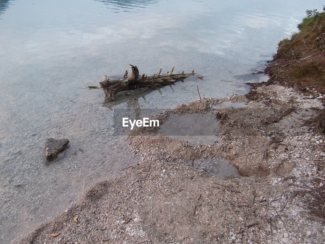 HIGH ANGLE VIEW OF CRAB AT BEACH