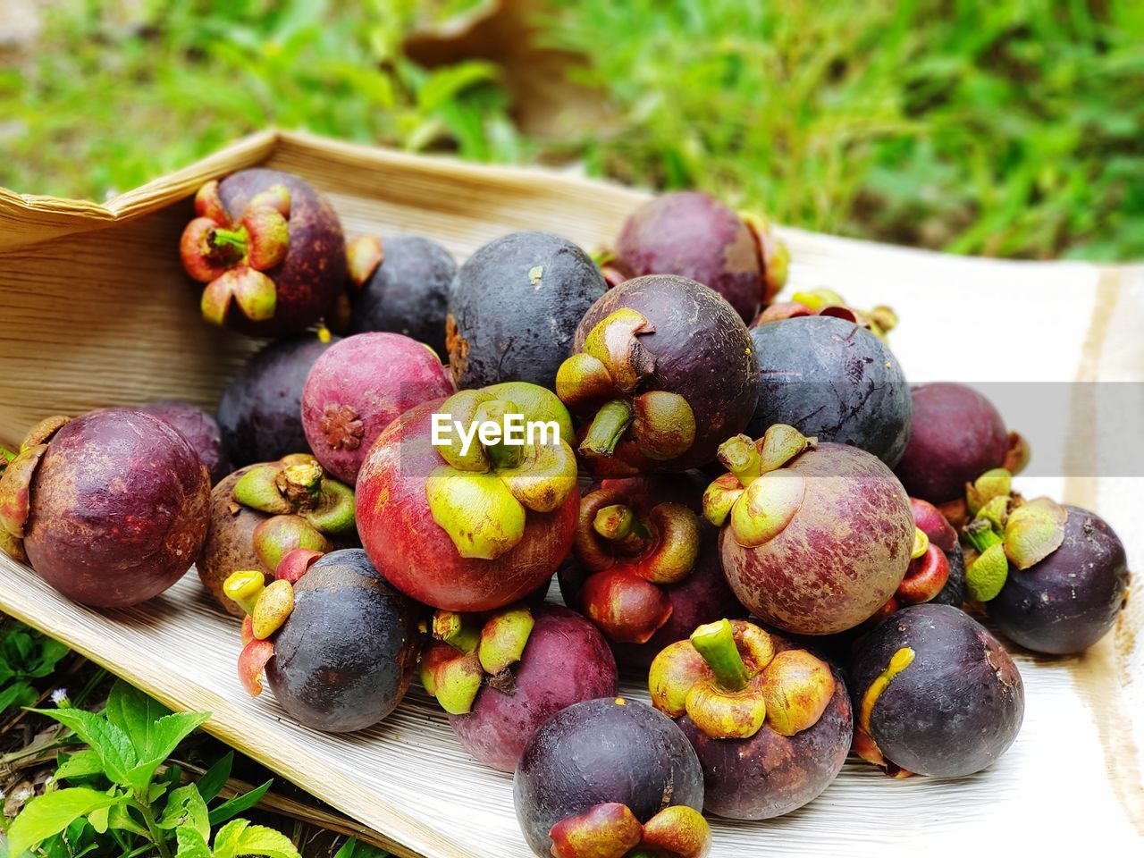 CLOSE-UP OF GRAPES ON WOODEN TABLE