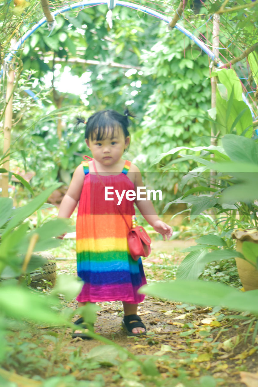 childhood, child, one person, plant, green, full length, front view, nature, growth, standing, flower, toddler, jungle, innocence, day, casual clothing, female, women, leaf, tree, cute, plant part, outdoors, portrait, leisure activity, holding, garden, smiling, person, looking, lifestyles, land, happiness, clothing, baby, emotion, human face, looking at camera, food, selective focus