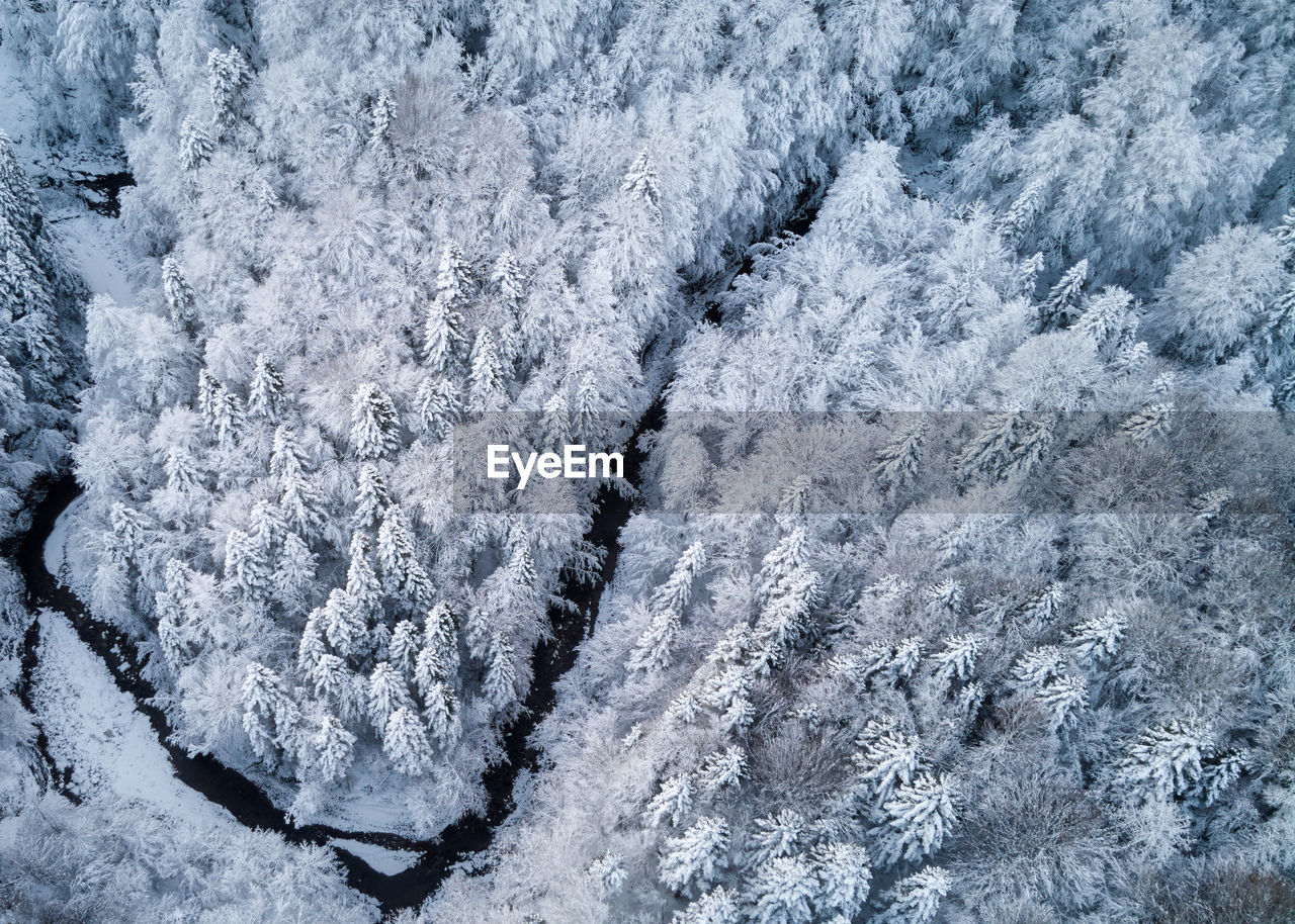 full frame shot of snow covered landscape