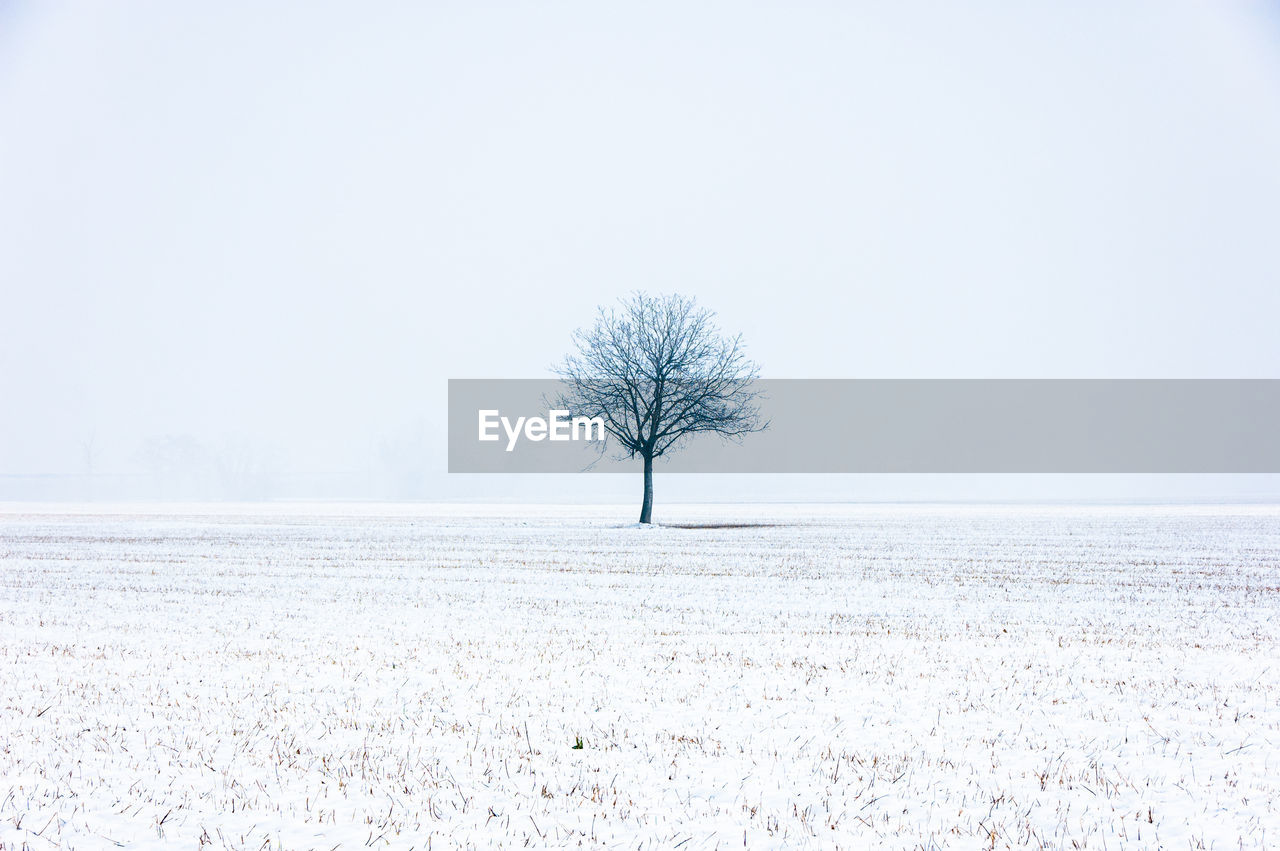 Scenic view of landscape against clear sky