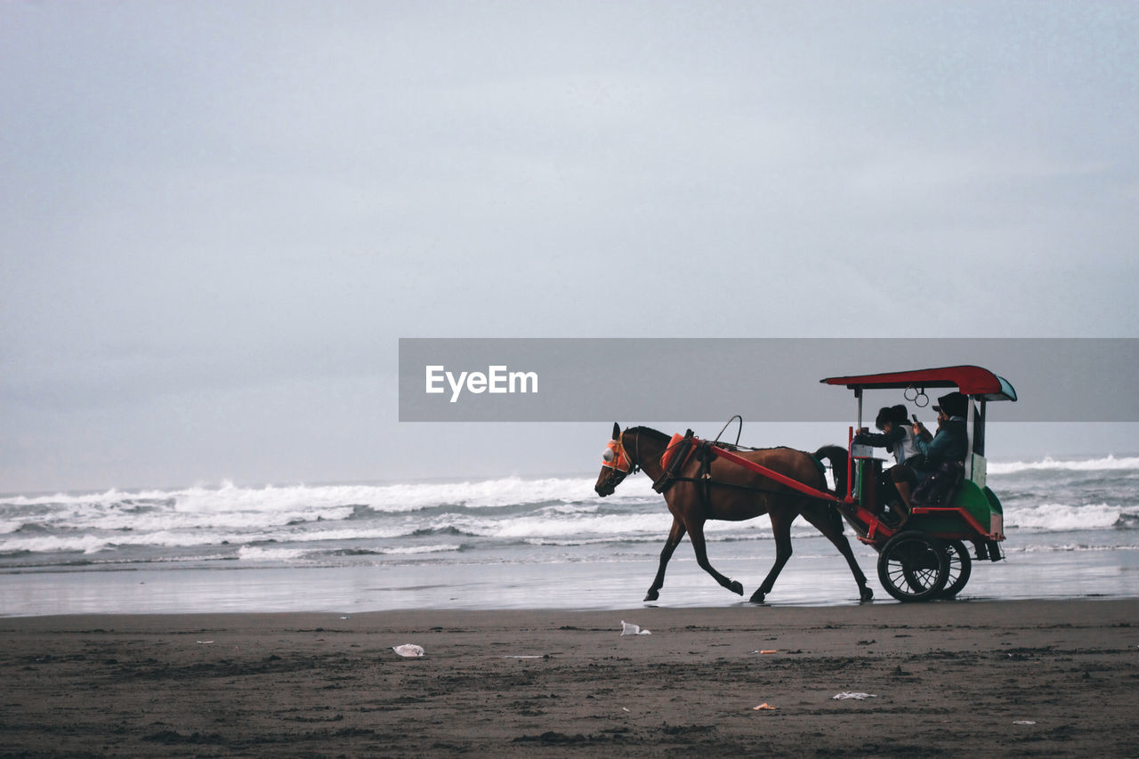 rear view of man riding horse on beach against clear sky