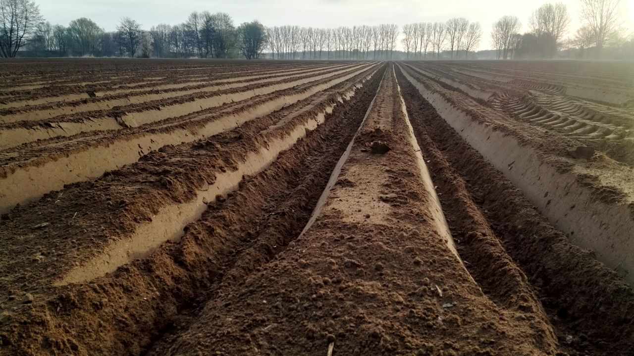 TIRE TRACKS IN AGRICULTURAL LANDSCAPE