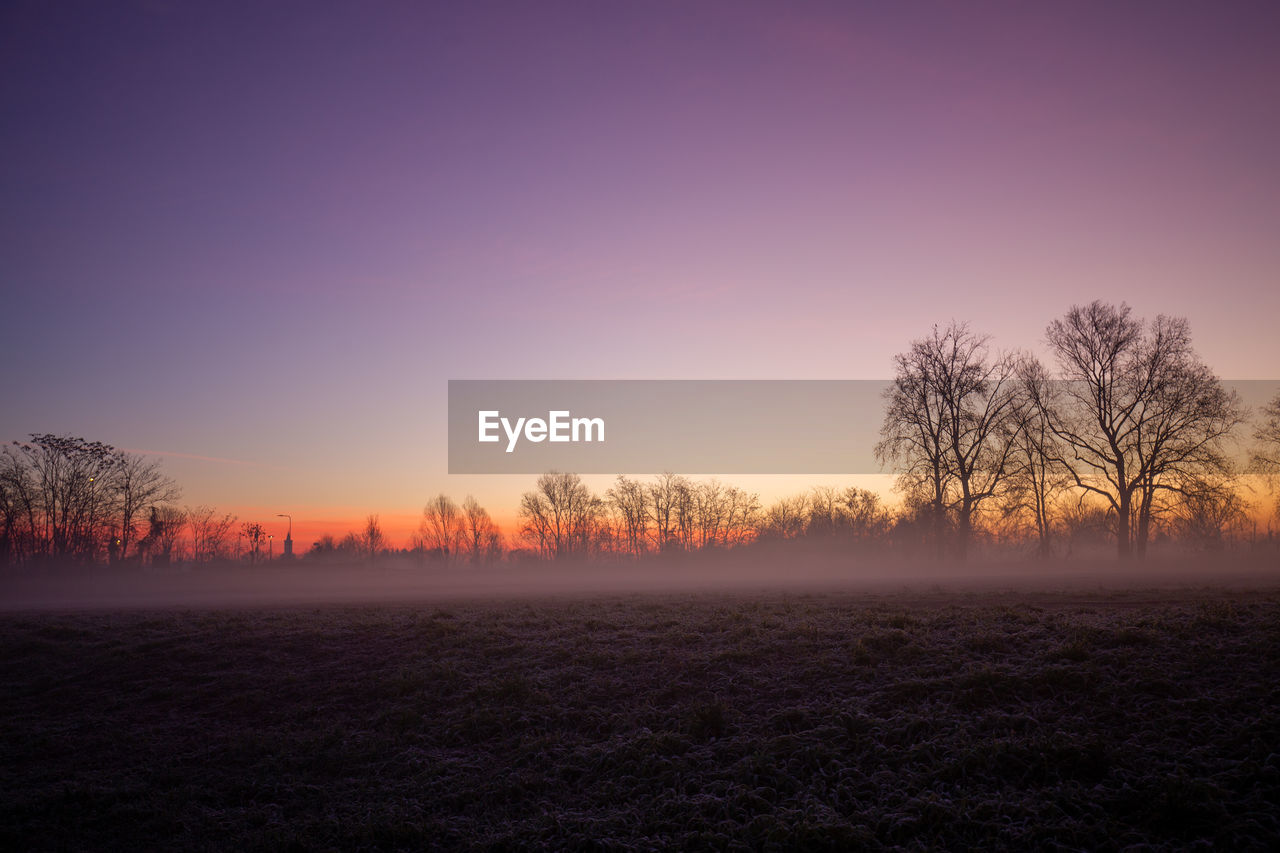 tree, plant, sky, dawn, sunrise, landscape, environment, beauty in nature, morning, tranquility, scenics - nature, nature, land, tranquil scene, no people, horizon, fog, field, non-urban scene, forest, rural scene, mist, winter, twilight, silhouette, idyllic, cloud, woodland, grass, outdoors, copy space, sun, bare tree, sunlight, cold temperature, orange color, autumn, agriculture, atmospheric mood, blue
