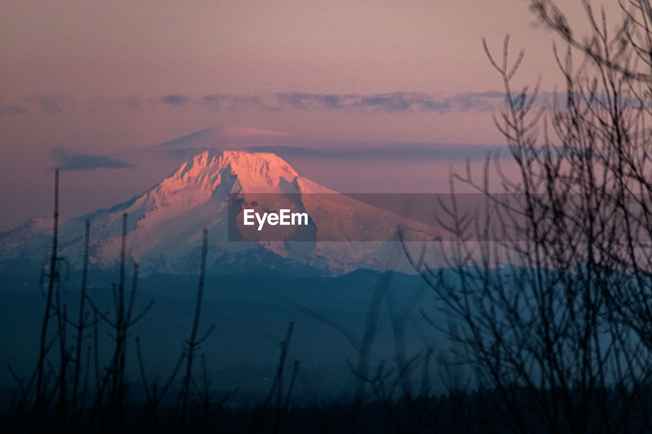 Evening drive in portland, oregon.