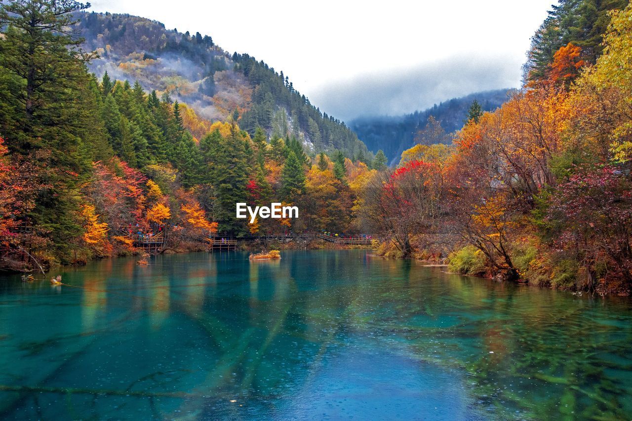 SCENIC VIEW OF LAKE DURING AUTUMN
