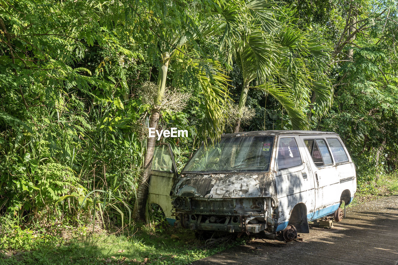 Old rusted wrecked car with no wheels abandoned on the street near jungle