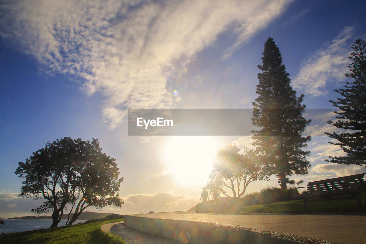 sky, morning, sunlight, nature, tree, plant, sun, landscape, cloud, environment, reflection, beauty in nature, dusk, horizon, sunbeam, scenics - nature, tranquility, lens flare, sunrise, land, water, no people, light, back lit, tranquil scene, outdoors, travel, grass, travel destinations, twilight, rural scene, blue, hill, summer, forest, non-urban scene