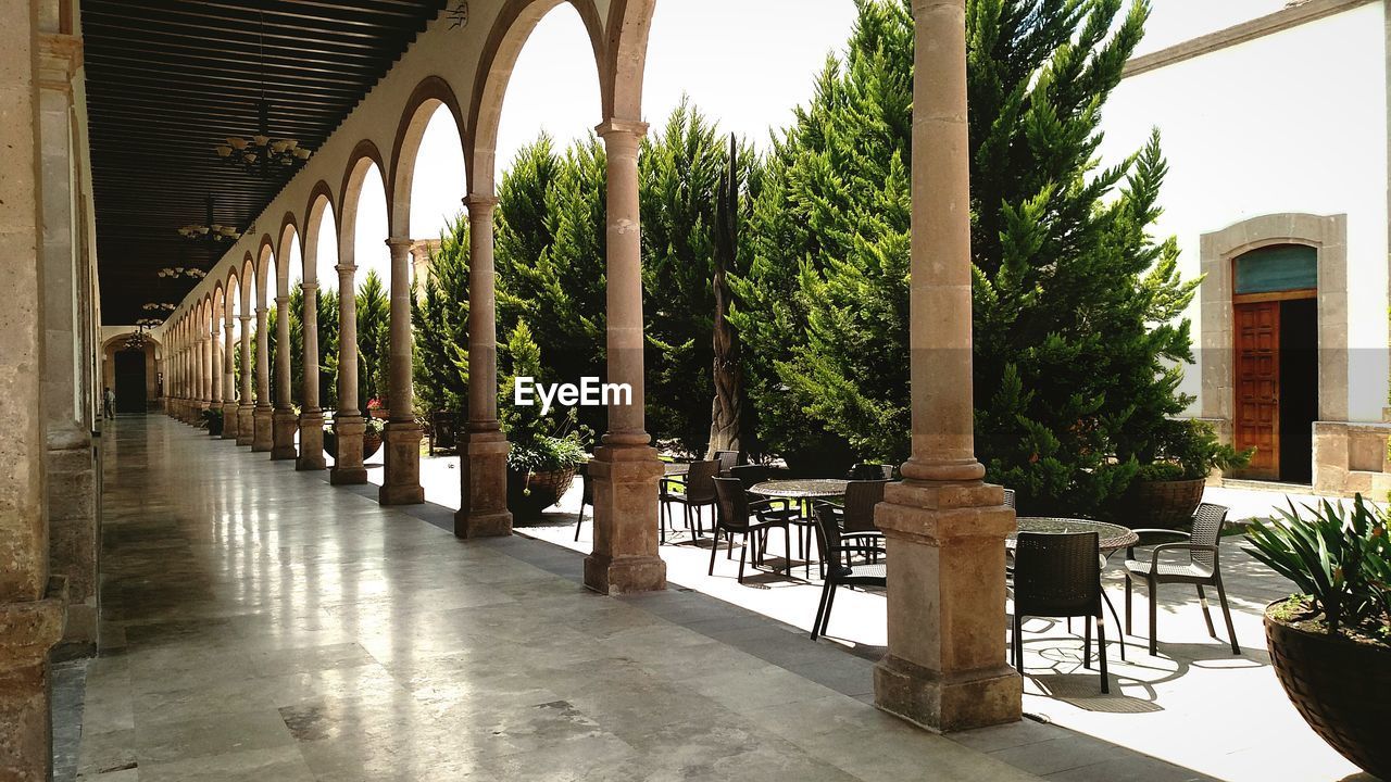 Trees seen through arches of historic building