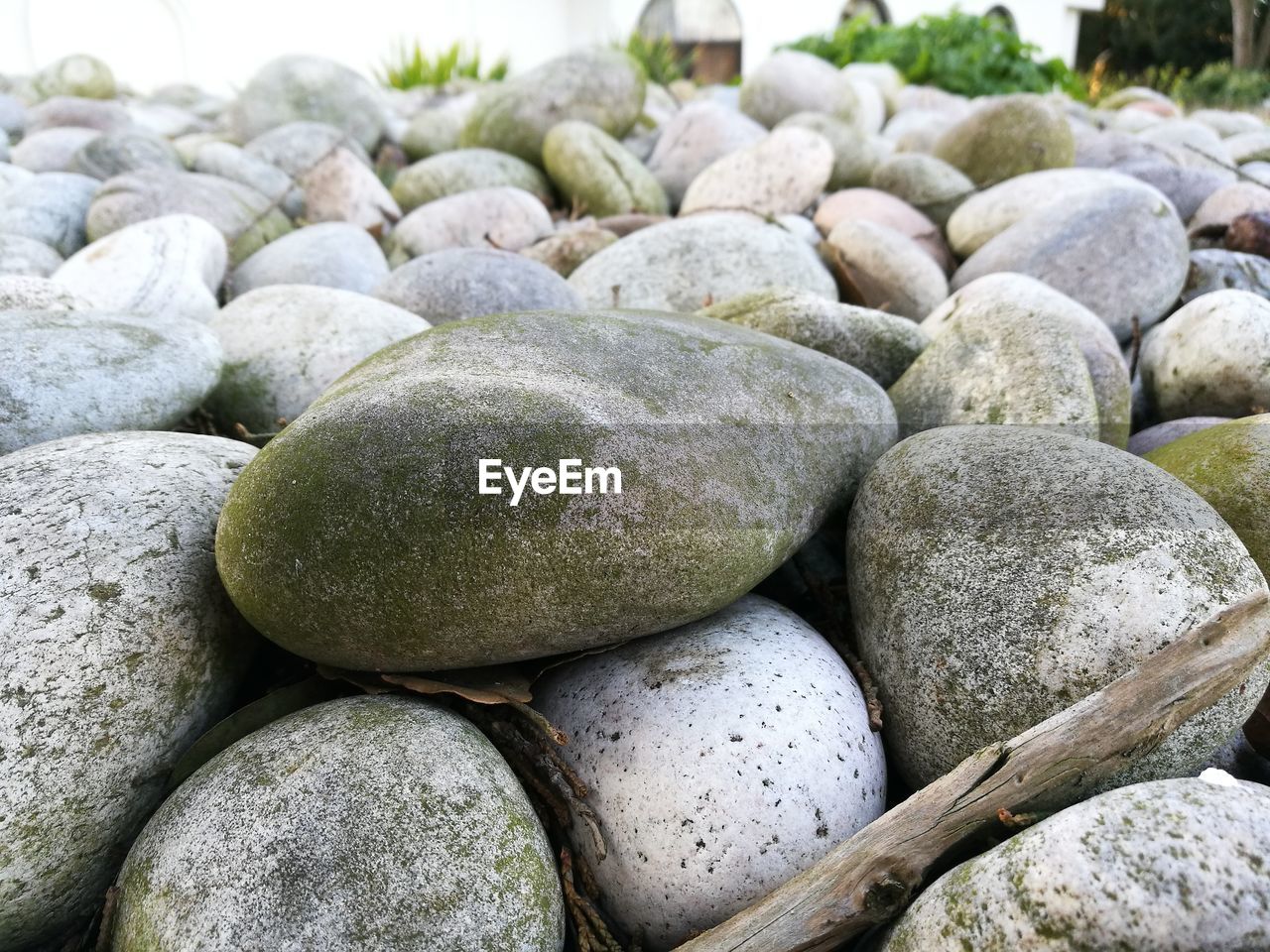 CLOSE-UP OF PEBBLES ON STONES
