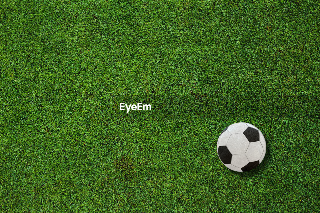 HIGH ANGLE VIEW OF SOCCER BALL ON GREEN GRASS