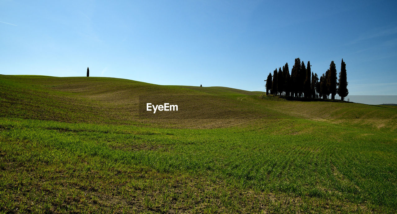 SCENIC VIEW OF LAND AGAINST SKY