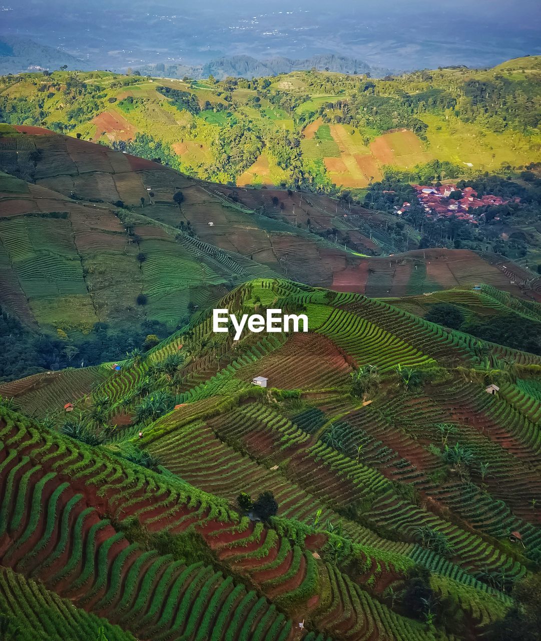 high angle view of agricultural field against mountain