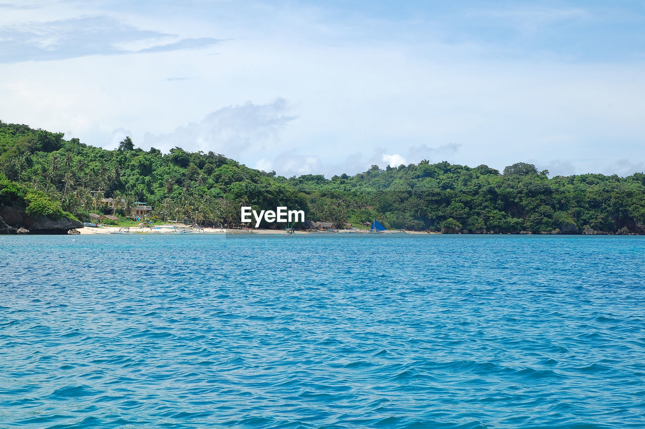 SCENIC VIEW OF SEA BY TREES AGAINST SKY