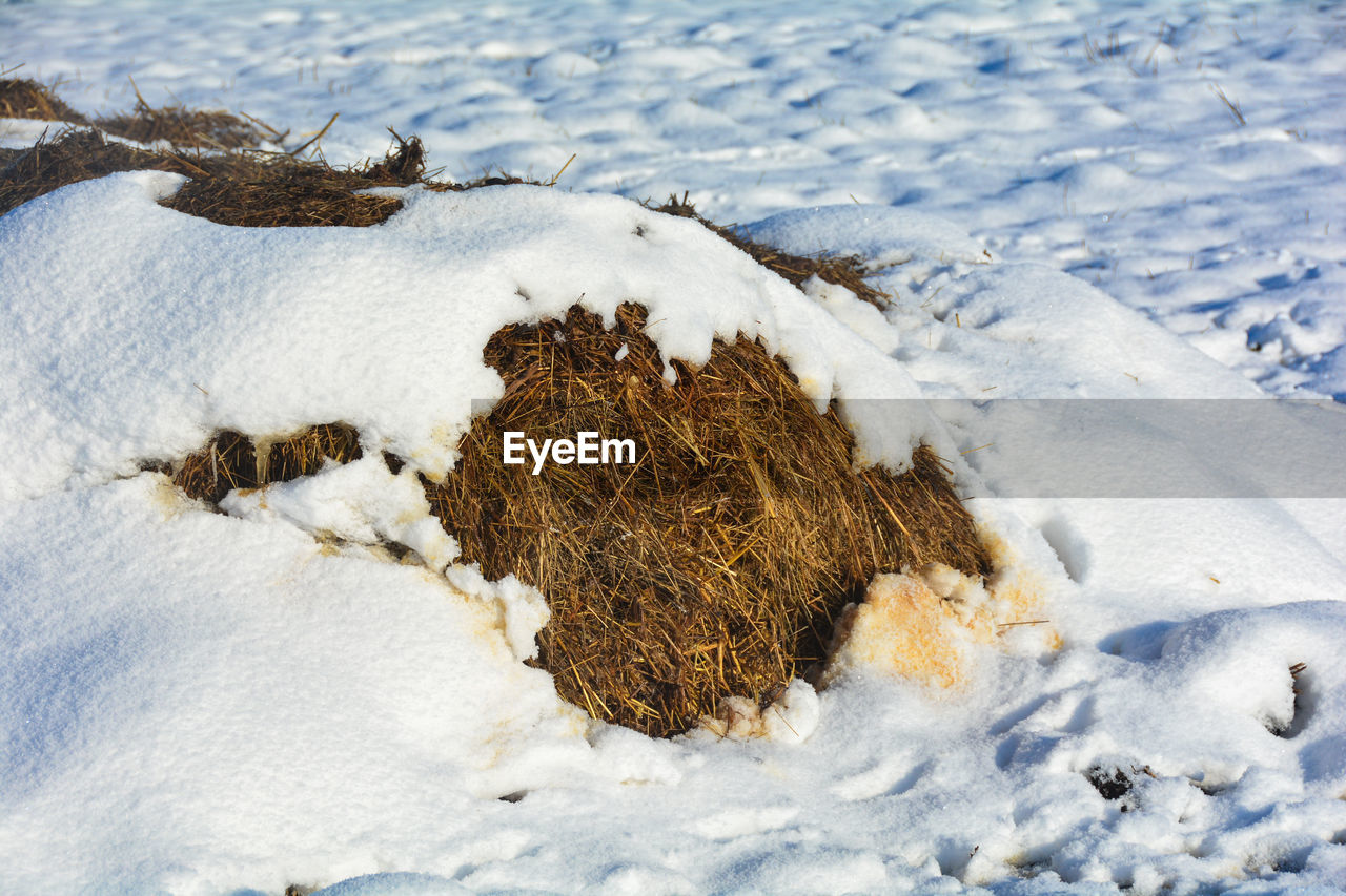 HIGH ANGLE VIEW OF SNOW ON FIELD