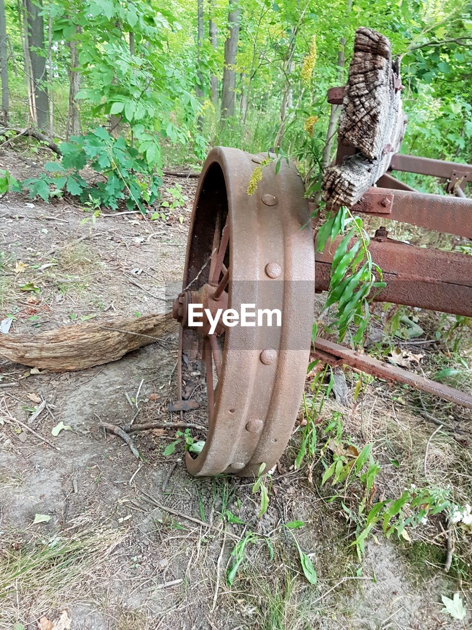 OLD RUSTY WHEEL IN FIELD