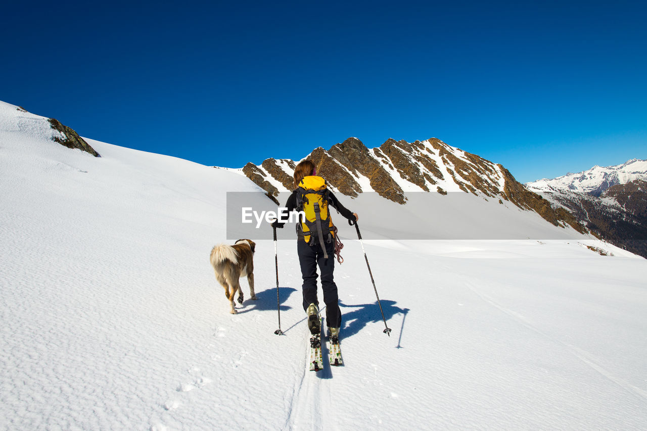 VIEW OF HORSE ON SNOWCAPPED MOUNTAIN AGAINST SKY
