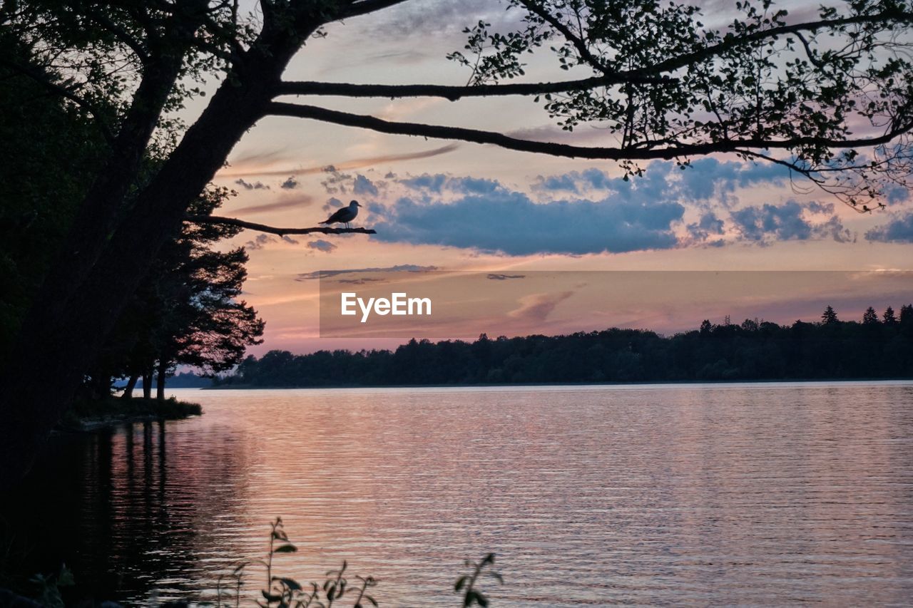 Scenic view of lake against sky during sunset