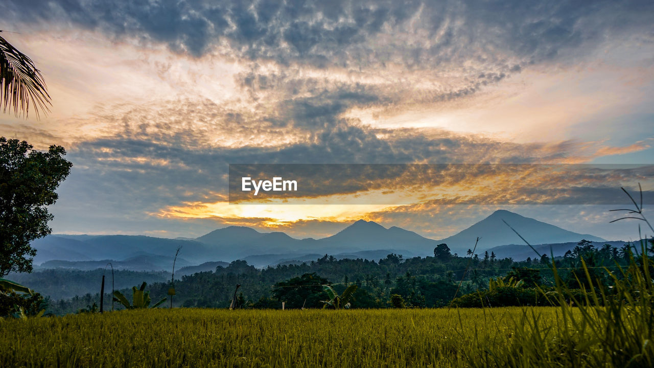 Scenic view of field against sky during sunset