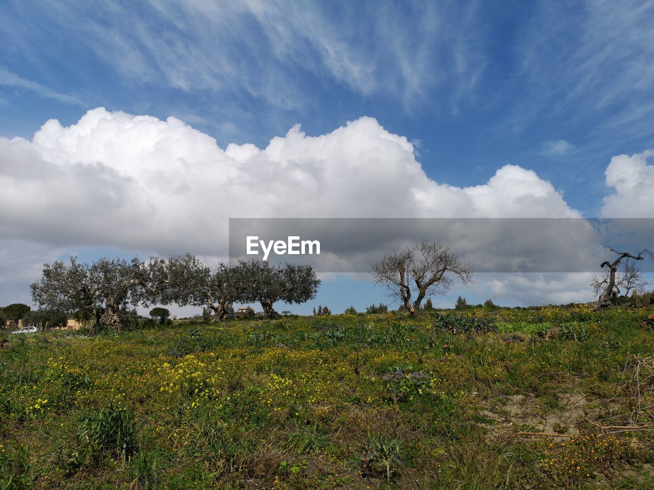 SCENIC VIEW OF LAND AGAINST SKY