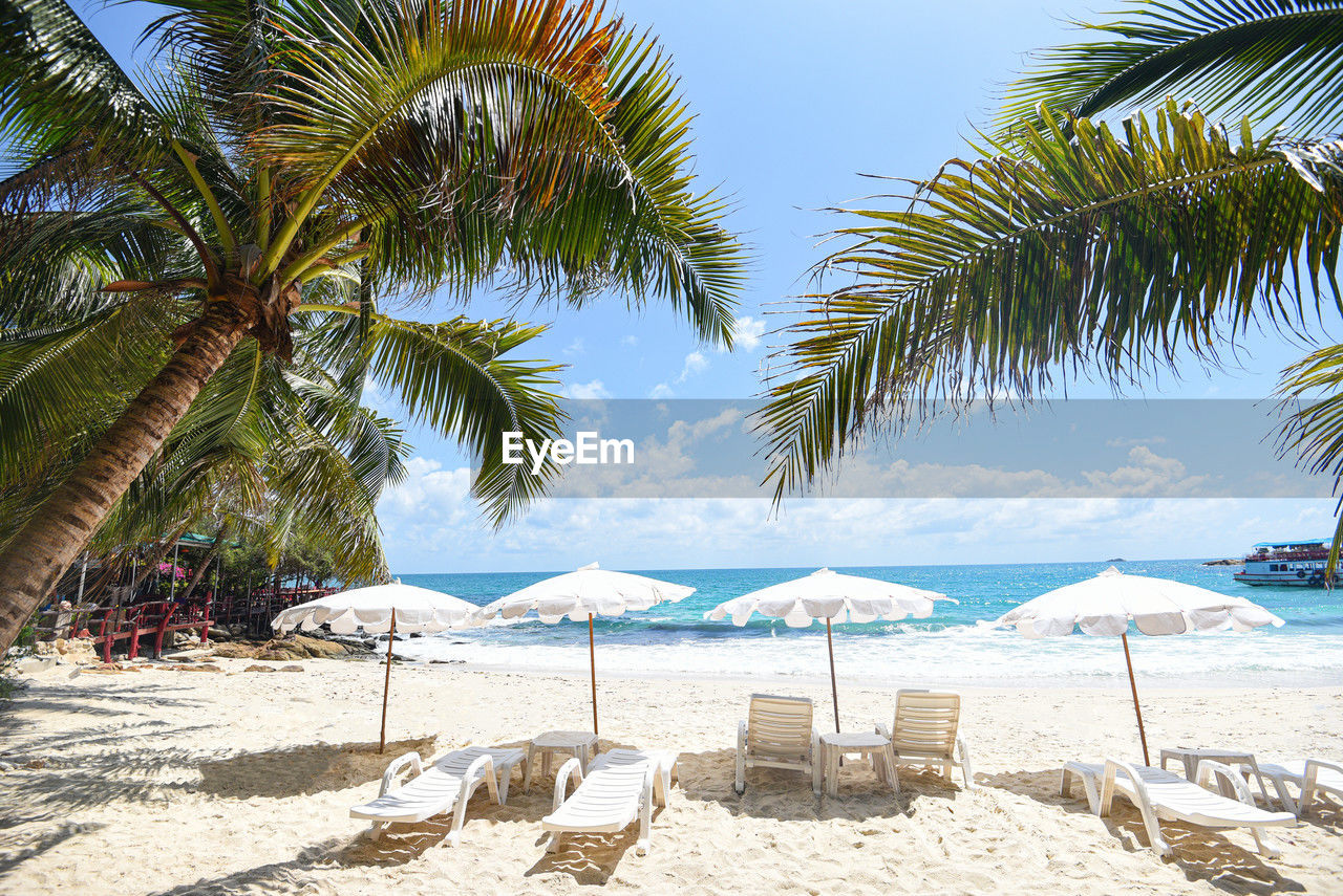 panoramic view of palm trees on beach against sky
