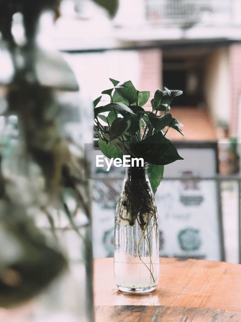 CLOSE-UP OF VASE ON TABLE AGAINST GLASS