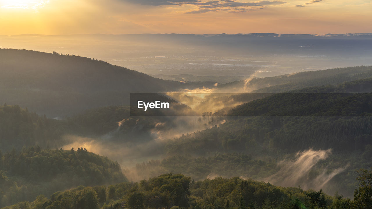 Fog settles over the waldprechts valley in the black forest after a summer thunderstorm