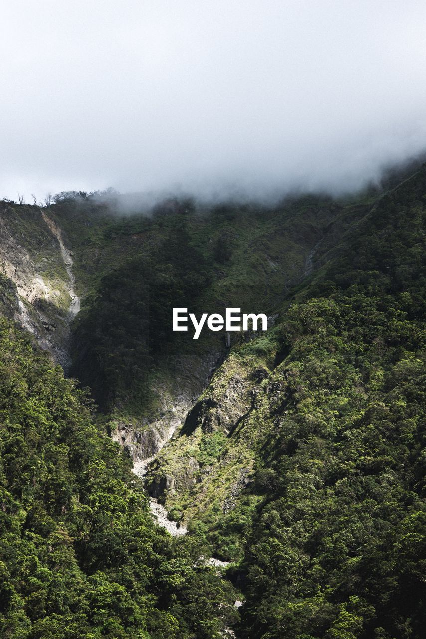 SCENIC VIEW OF FOREST AND MOUNTAINS AGAINST SKY