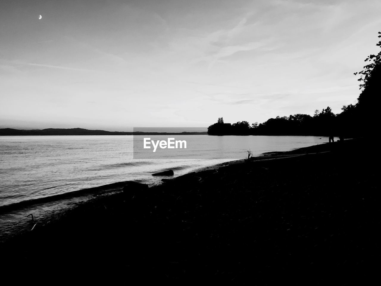 SILHOUETTE TREES ON BEACH AGAINST SKY