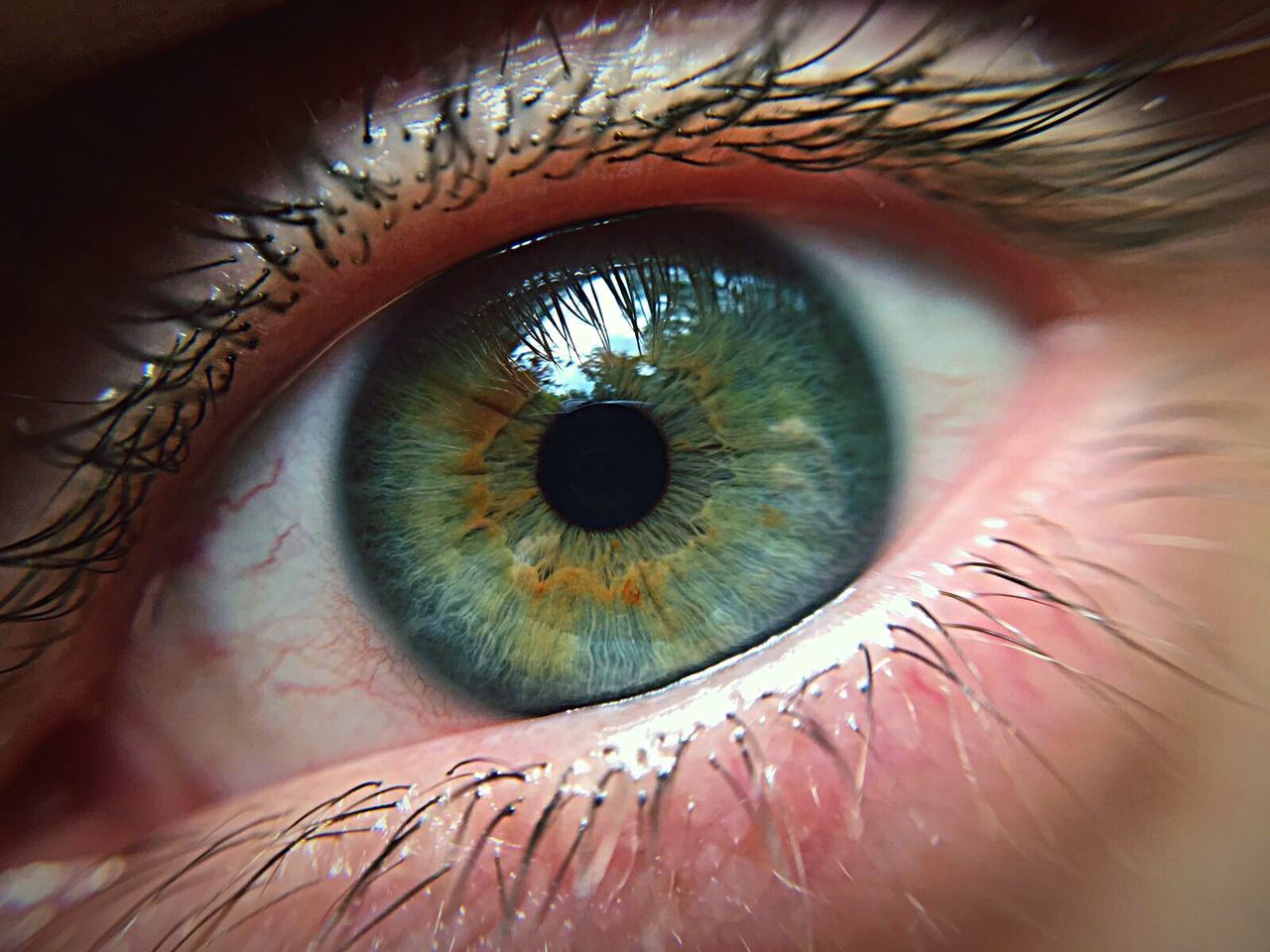 Cropped image of human eye