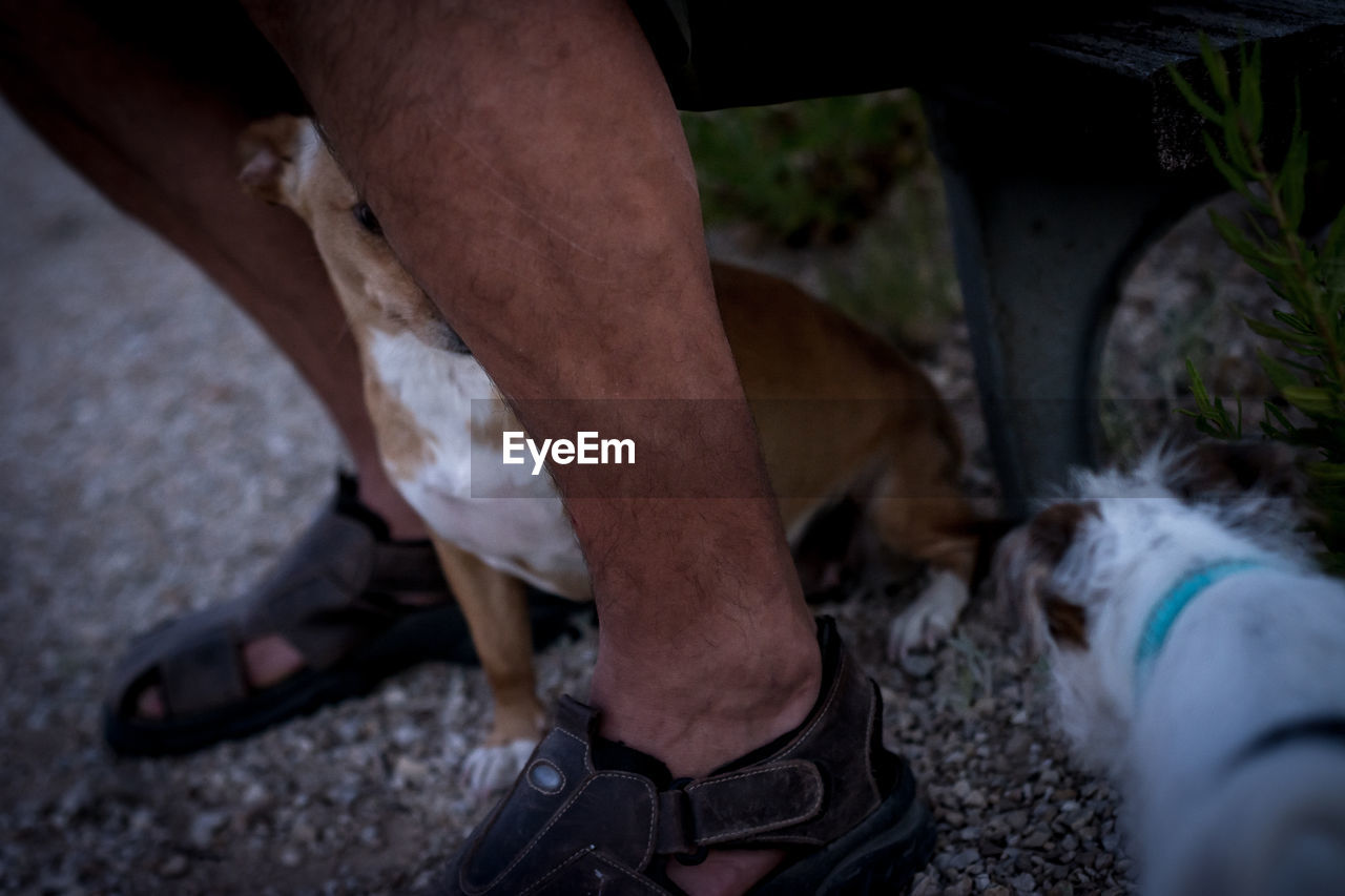 LOW SECTION OF MAN WITH DOG STANDING ON FLOOR