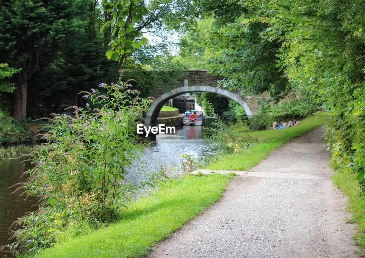 Scenic view of grass by trees