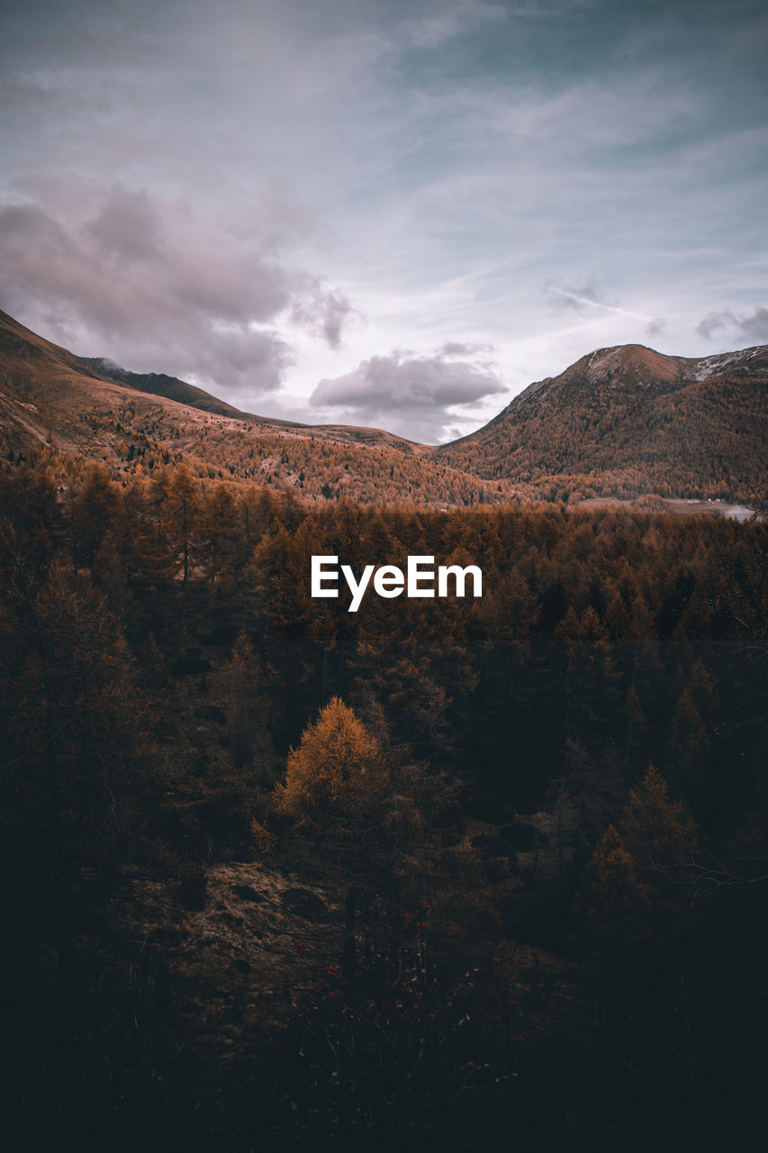 SCENIC VIEW OF LANDSCAPE AND MOUNTAINS AGAINST SKY