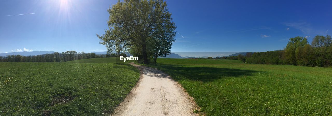 VIEW OF GREEN LANDSCAPE AGAINST SKY