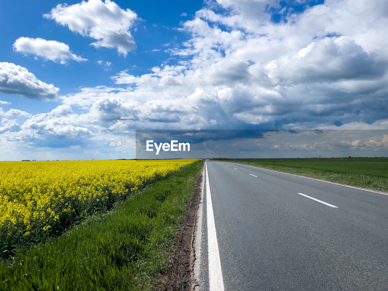road, landscape, sky, cloud, environment, horizon, transportation, rural scene, land, field, beauty in nature, nature, scenics - nature, plant, the way forward, agriculture, diminishing perspective, tranquility, travel, vanishing point, tranquil scene, flower, no people, yellow, non-urban scene, rapeseed, prairie, horizon over land, blue, grass, plain, country road, rural area, symbol, day, flowering plant, road marking, idyllic, outdoors, highway, travel destinations, farm, crop, canola, sunlight, remote, springtime, urban skyline, cloudscape, growth, summer, marking, asphalt, journey, grassland, street, green, empty road