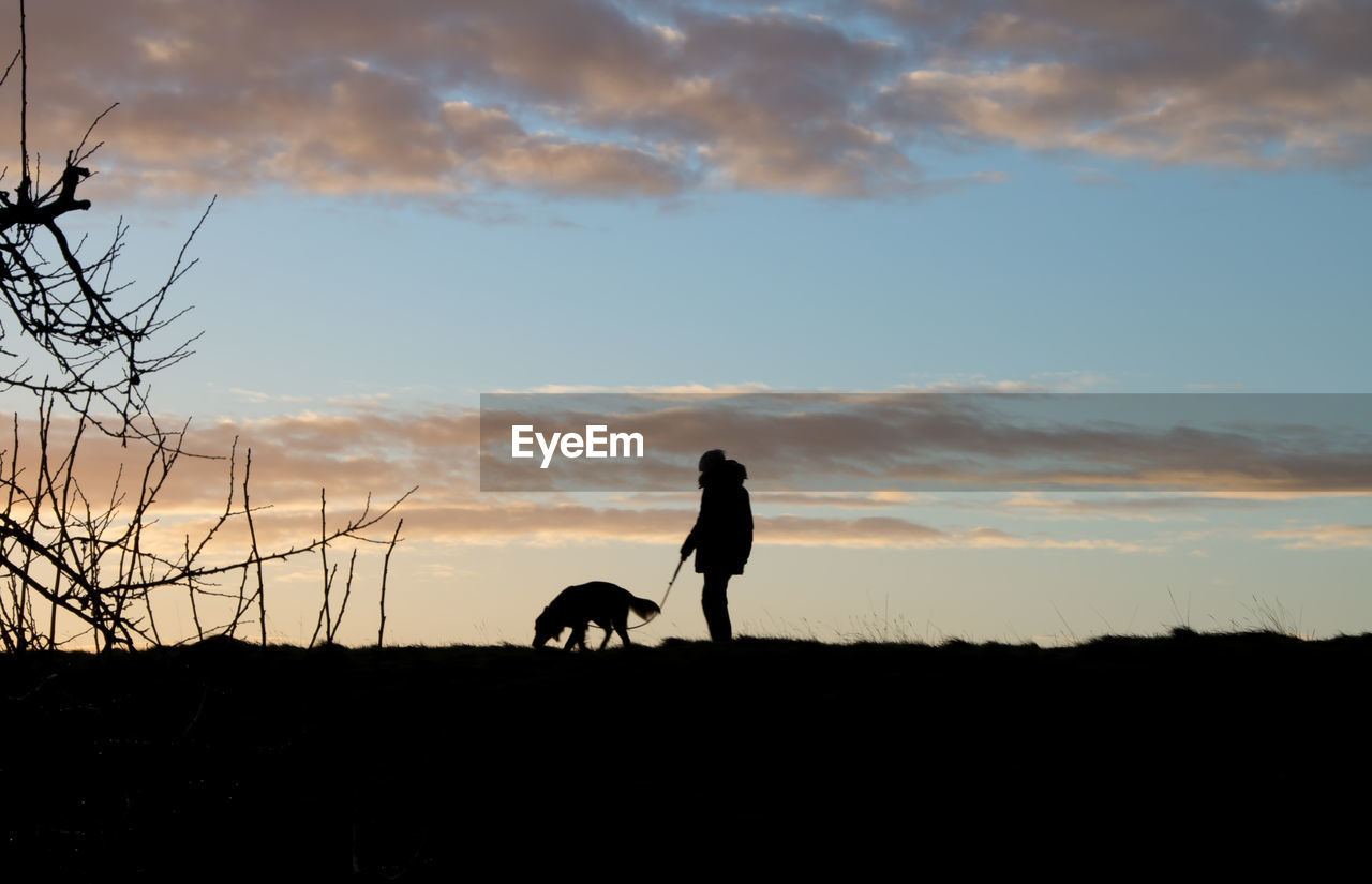 Silhouette man standing with dog on field against sky during sunset