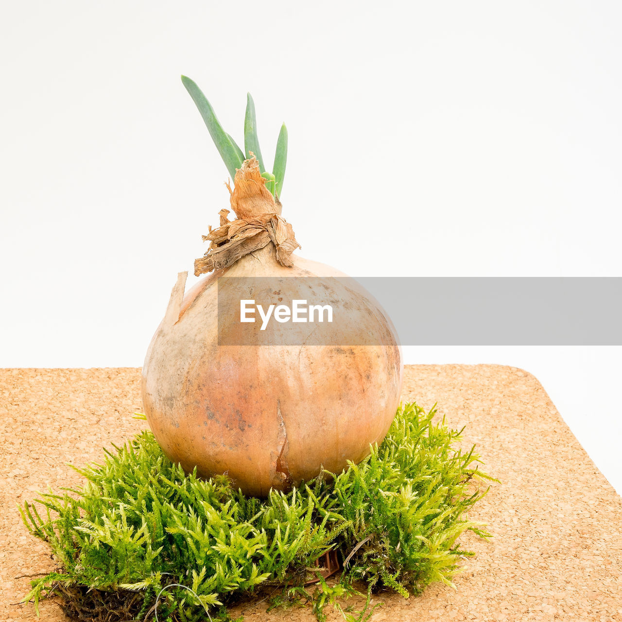 food, food and drink, plant, healthy eating, produce, vegetable, wellbeing, freshness, studio shot, no people, nature, indoors, organic, green, ingredient, herb, cut out, close-up, spice, still life