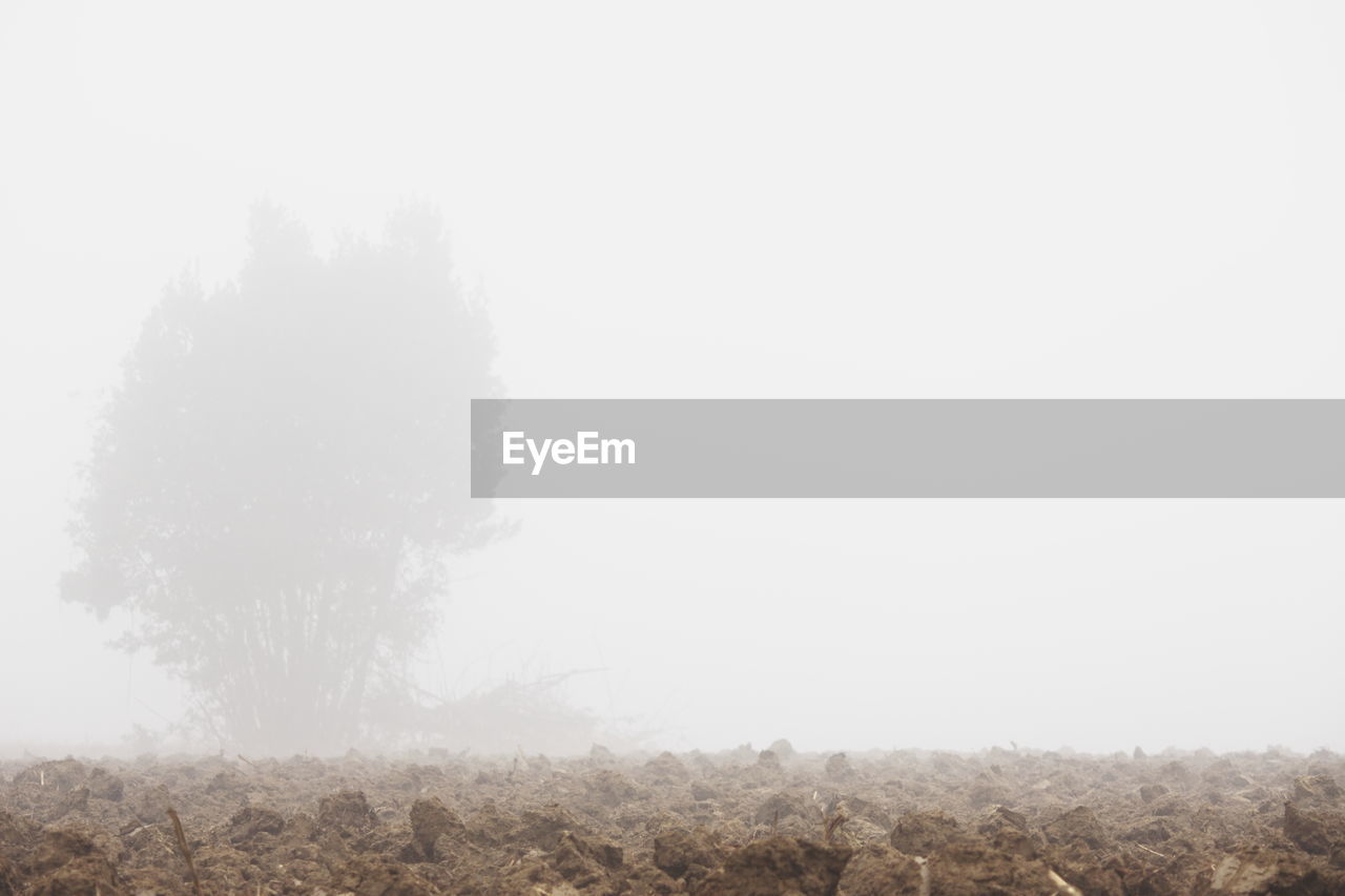 SCENIC VIEW OF FIELD AGAINST CLEAR SKY