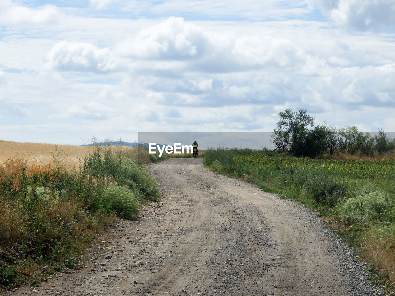 Road amidst field against sky