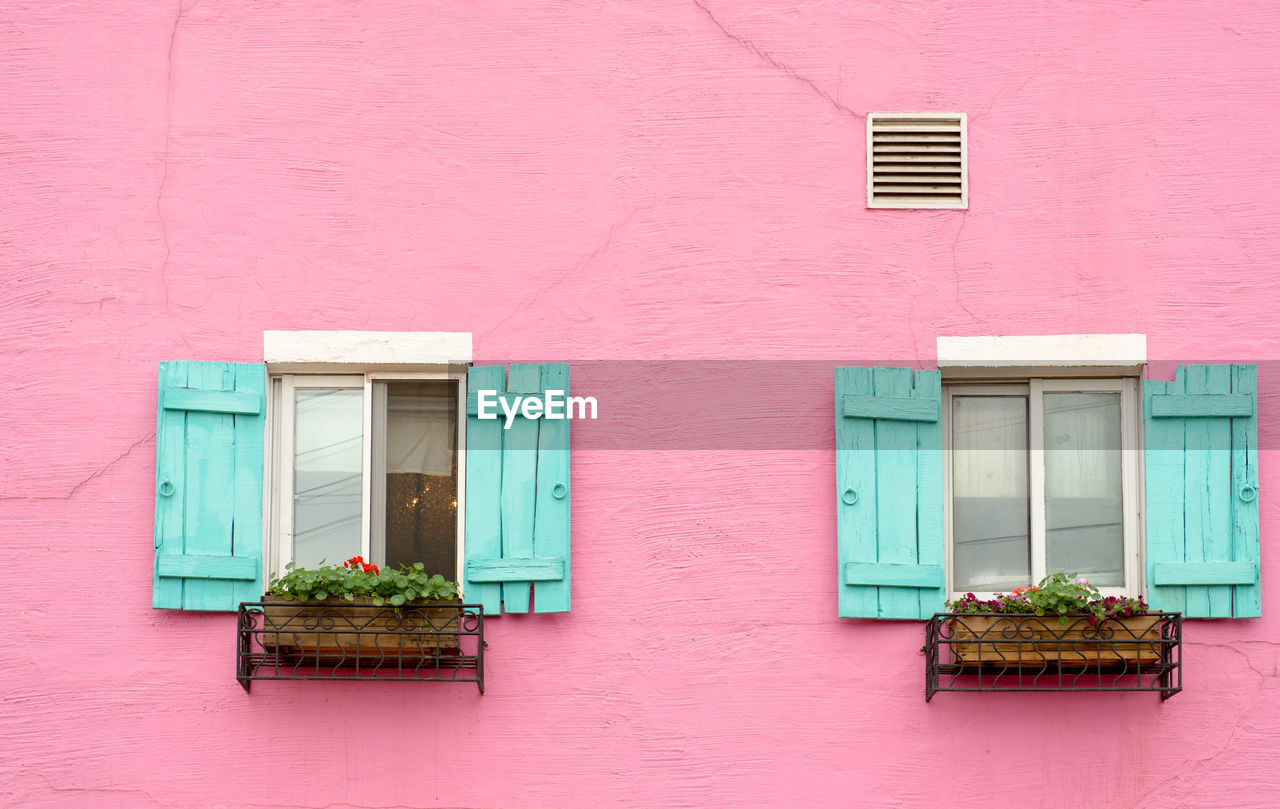 PINK FLOWERS AGAINST WINDOW