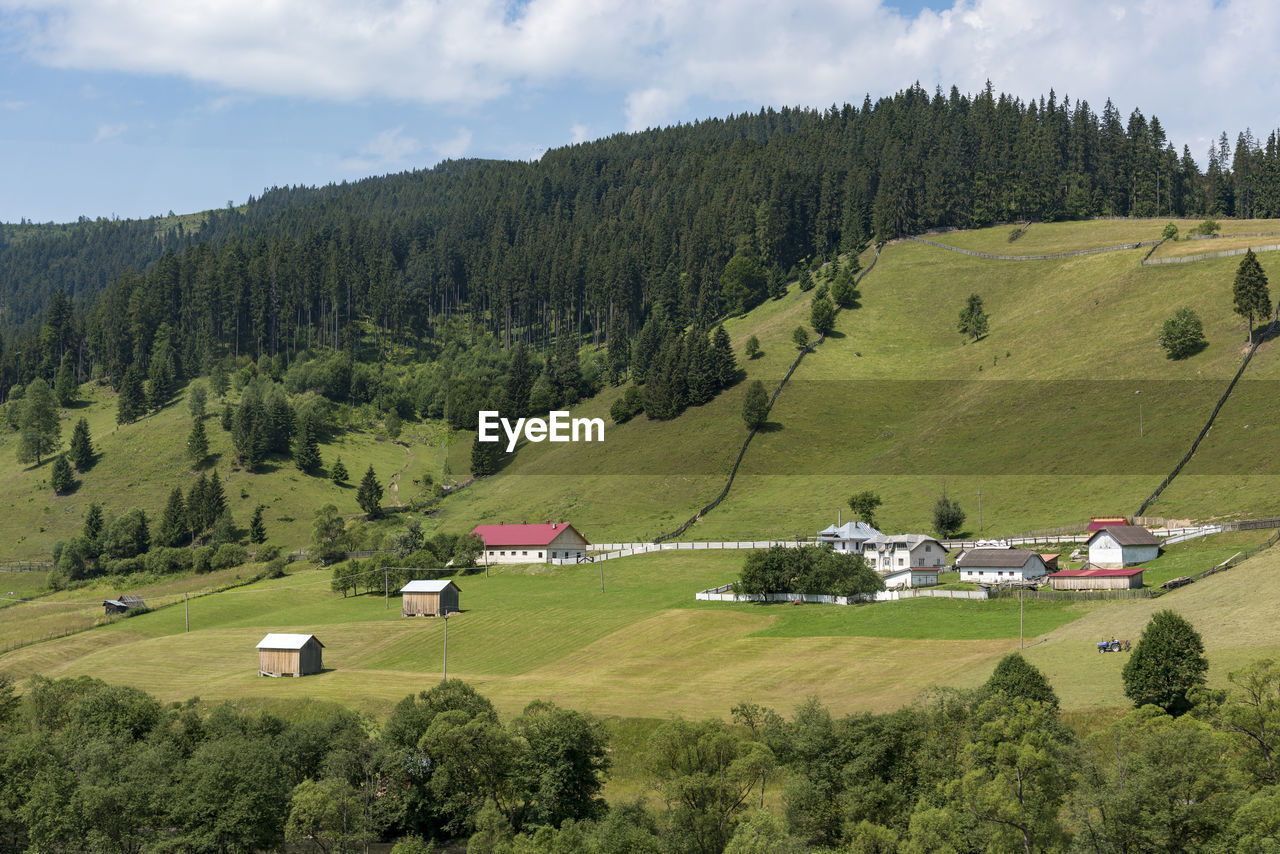 Scenic view of trees and houses against sky