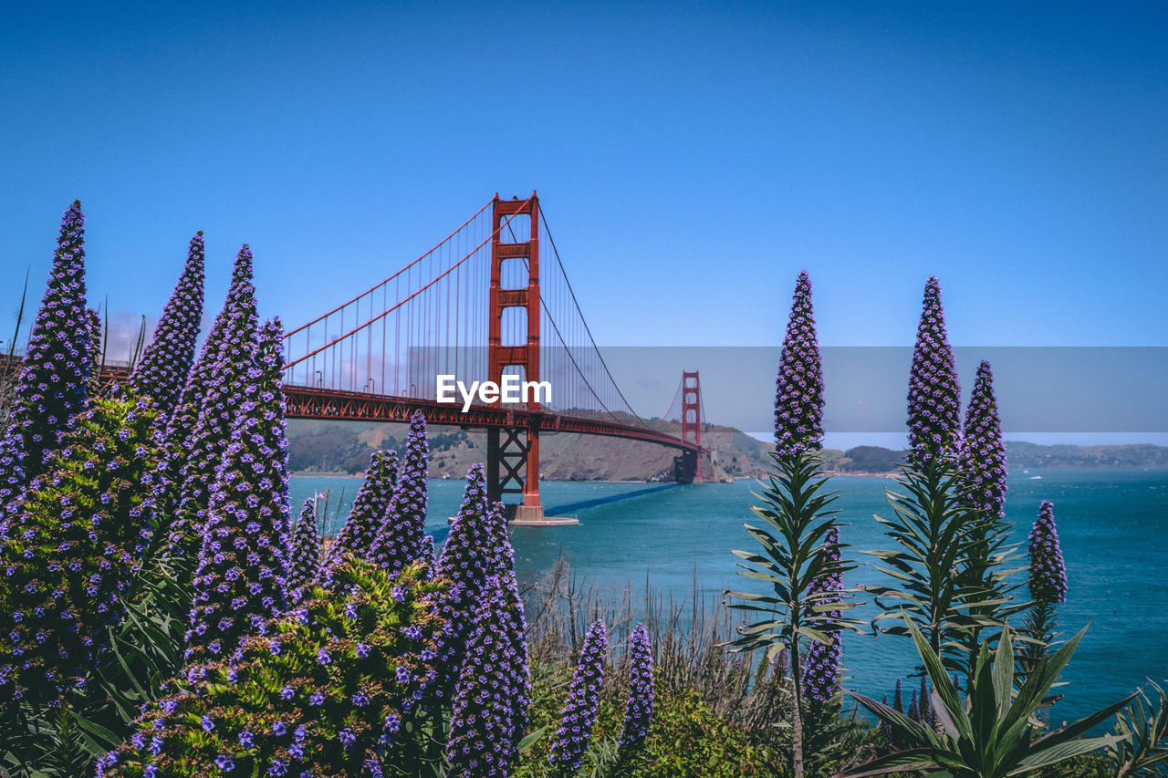 Golden gate bridge against sky