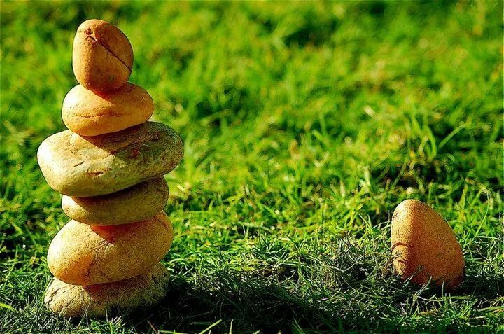 CLOSE-UP OF MUSHROOM ON FIELD