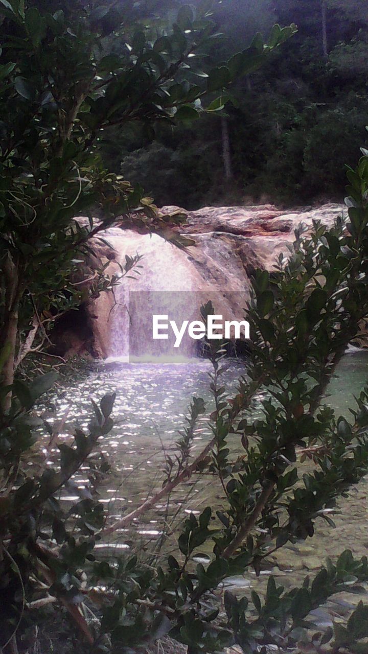 STREAM FLOWING THROUGH ROCKS IN FOREST