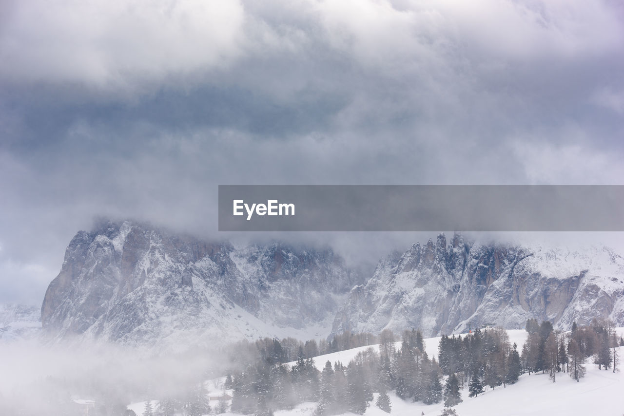 TREES AGAINST SKY DURING WINTER